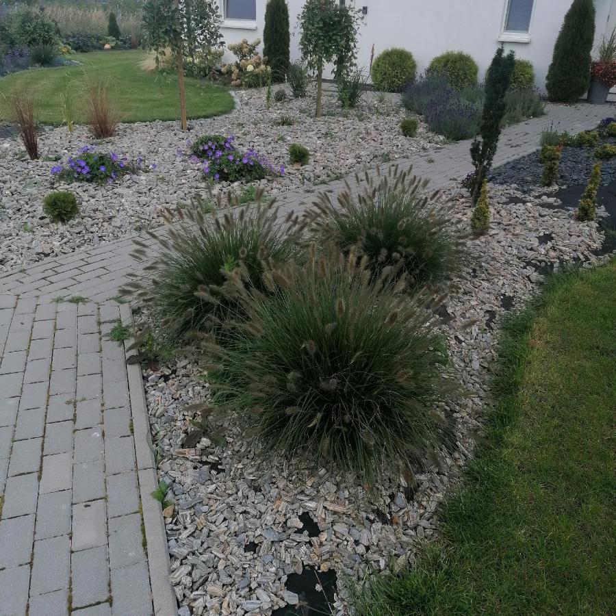 "Lawendowe Wzgorze" Villa Zastan Kültér fotó